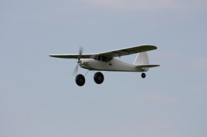 Multiplex Funcub Multiplex Funcub